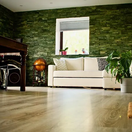 Transylvania House ホームステイ *
